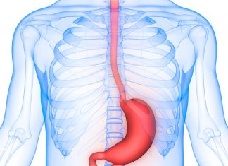 הכירו את תסמונת הוושט על שם בארט הכירו את תסמונת הוושט על שם בארט